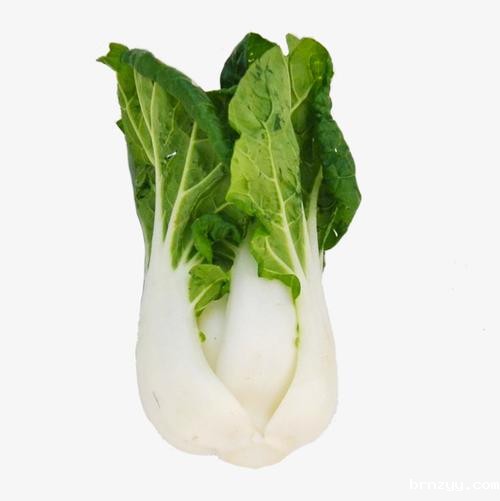 10月24日24时起成品油价格按机制下调