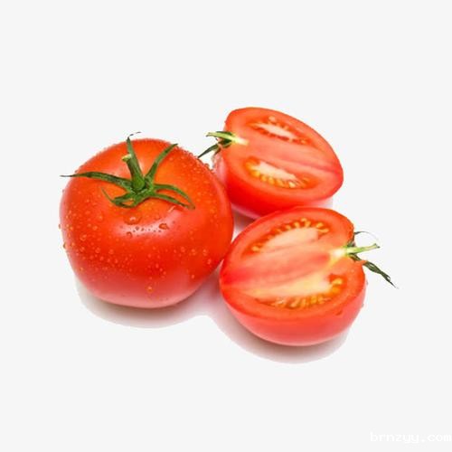 想搞定食材批发、蔬菜配送和膳食公司？这些门道你得知道！