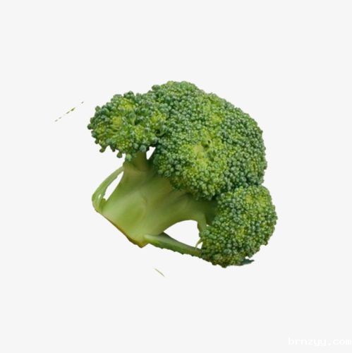 把握蔬菜市场动态，助力食堂食材配送