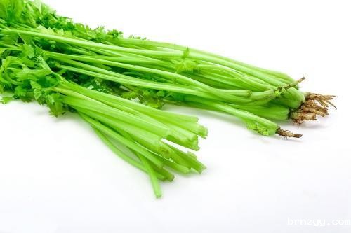 把握西安蔬菜市场，做好食材供应