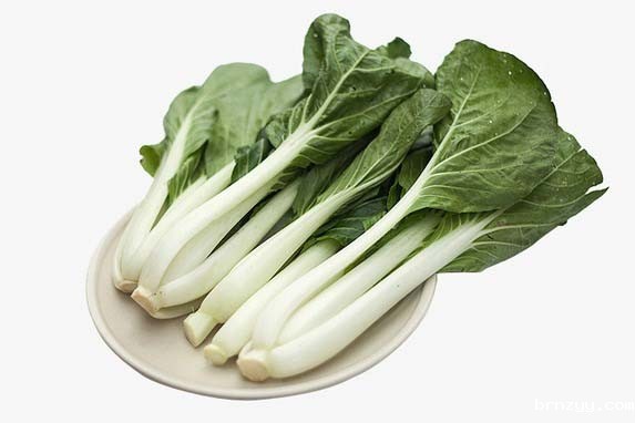 东莞市2023年第47周市场价格监测简况