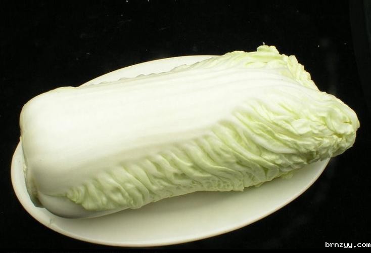 娃娃菜