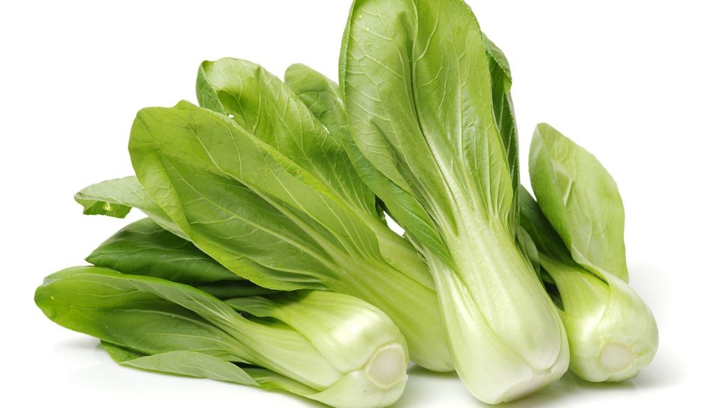 长白菜